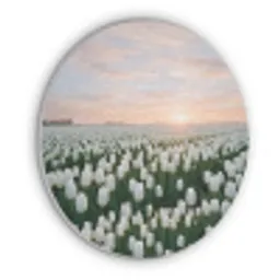 Tulpen - Landschap - Wit Akoestische PET Vilt - Rond klein -3d