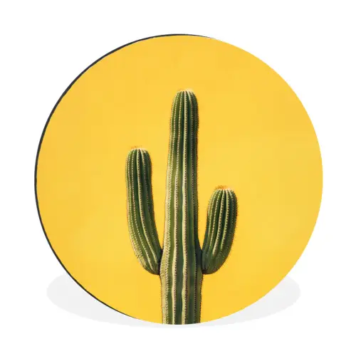 Cactus - Groen - Minimalistisch Wandcirkel aluminium klein -3d