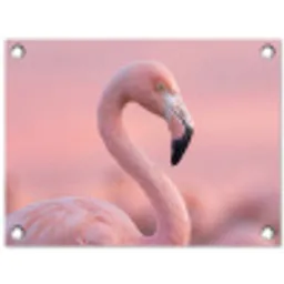 Flamingo - Portret - Roze tuinposter los doek klein -3d