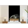 Vogel - Portret - Neushoornvogel - Zwart - Dieren fotobehang vinyl groot -bed