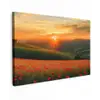 Klaprozen - Bloemen - Heuvels - Zonsondergang canvas 2cm klein -z3d