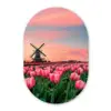 Tulpen - Molen - Nederland Wandcirkel Ovaal Forex klein -3d