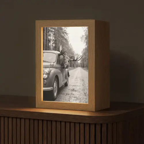 Eland - Auto - Gewei - Zwart - Wit Light Box met kabel (Tafellamp) klein -z3d_website