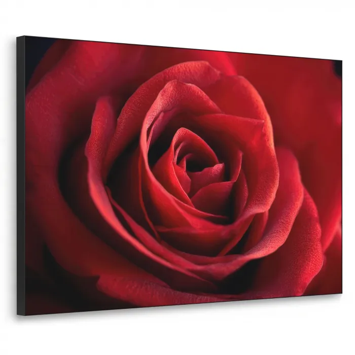 Rood - Roos - Romantisch Textielframe zwart klein -3d