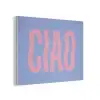 Ciao - Roze - Blauw - Golvend PET vilt klein -3d