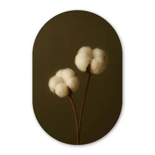 Takken - Katoen - Wit - Bollen Wandcirkel Ovaal Forex klein -3d