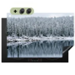 Bos - Reflectie - Meer - Winter - Serene Inductie beschemer met haakjes klein -3d