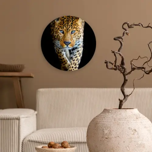 Luipaard - Dieren - Portret - Wilde dieren - Zwart Wandcirkel kunststof plaat 5mm dik klein -sfeer1