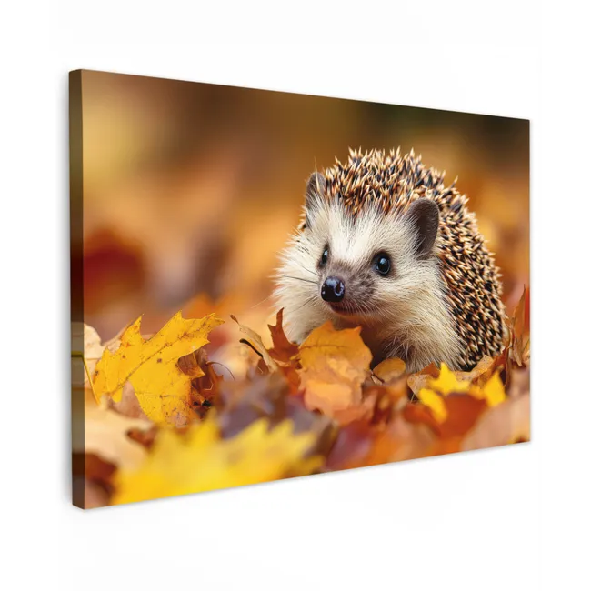 Buiten canvas - Egel - Bos - Herfstbladeren - Herfst - Bosdieren - Natuur