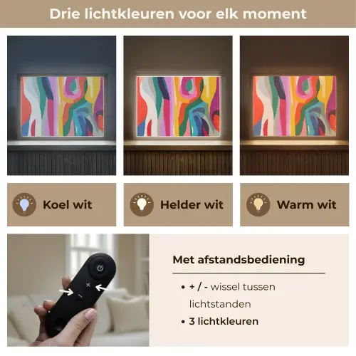 Abstract - Kleurrijk - Golven - Lijnen Light Box met batterij (Wandlamp) middel -USP_lichtkleurNL