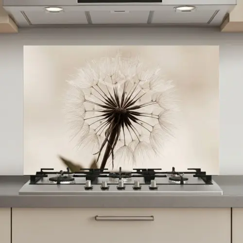 Paardenbloem - Minimalistisch - Wit keuken achterwand spatscherm klein -3d_website