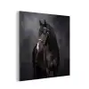 Portret - Paard - Zwart aluminium wit klein -3d