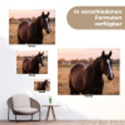 Paard - Zonsondergang - Bruin tuinposter los doek klein -Xsfeer9_DE