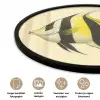 Vis - Sierlijk - Rugvin - Geel Fotolijst rond zonder passe partout klein -closeup_NL