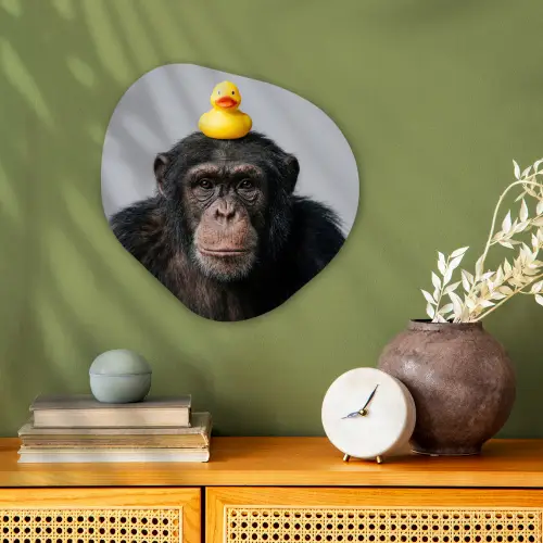 Chimpansee - Badeend - Grijs Wandcirkel Organisch Forex 3mm klein -sfeer2