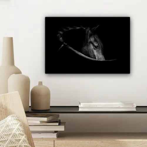 Paarden - Portret - Zwart - Dieren canvas 2cm klein -sfeer6