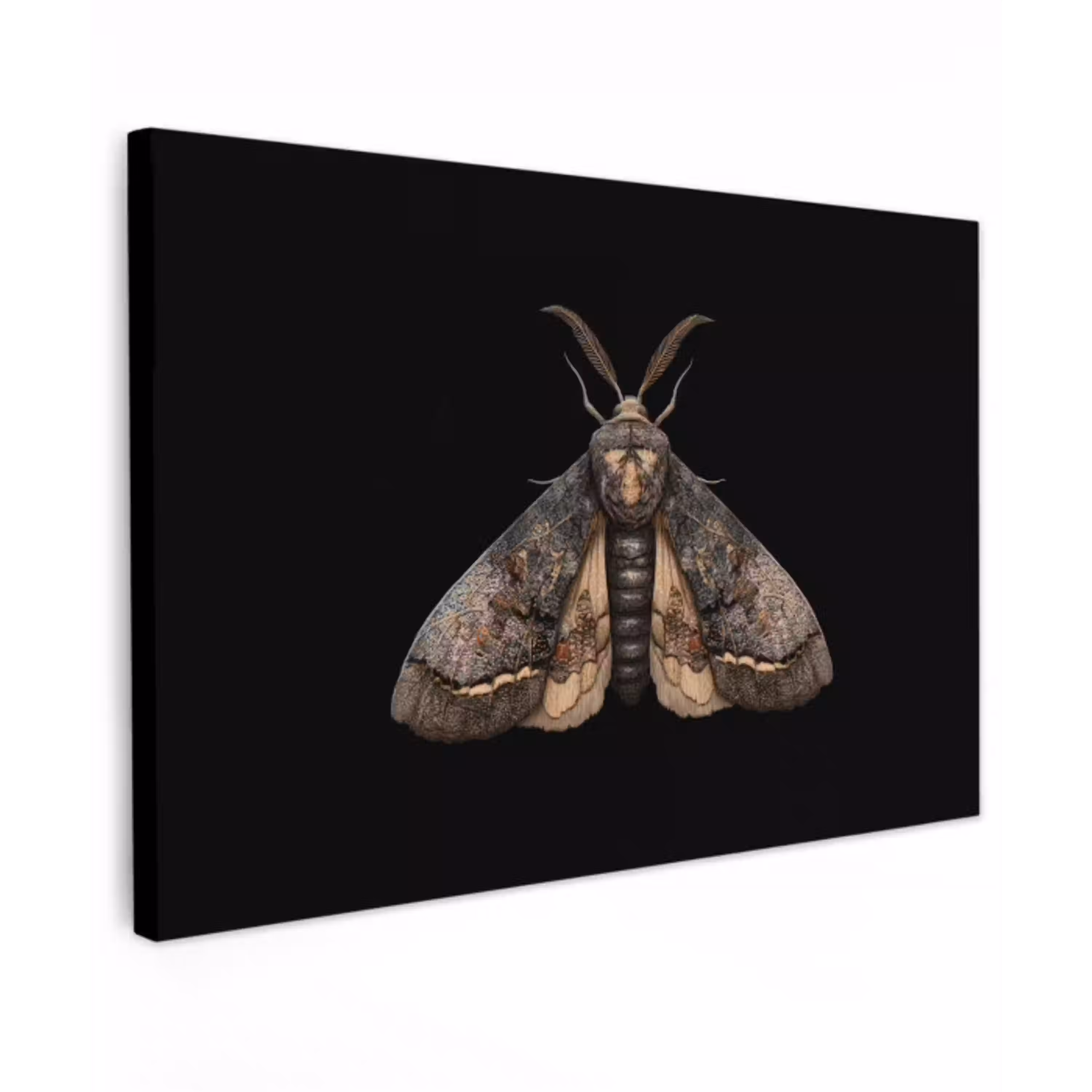 Mot - Bladachtig - Grijs canvas 2cm klein -z3d