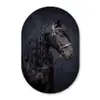 Portret - Paard - Donker Wandcirkel Ovaal Forex klein -3d