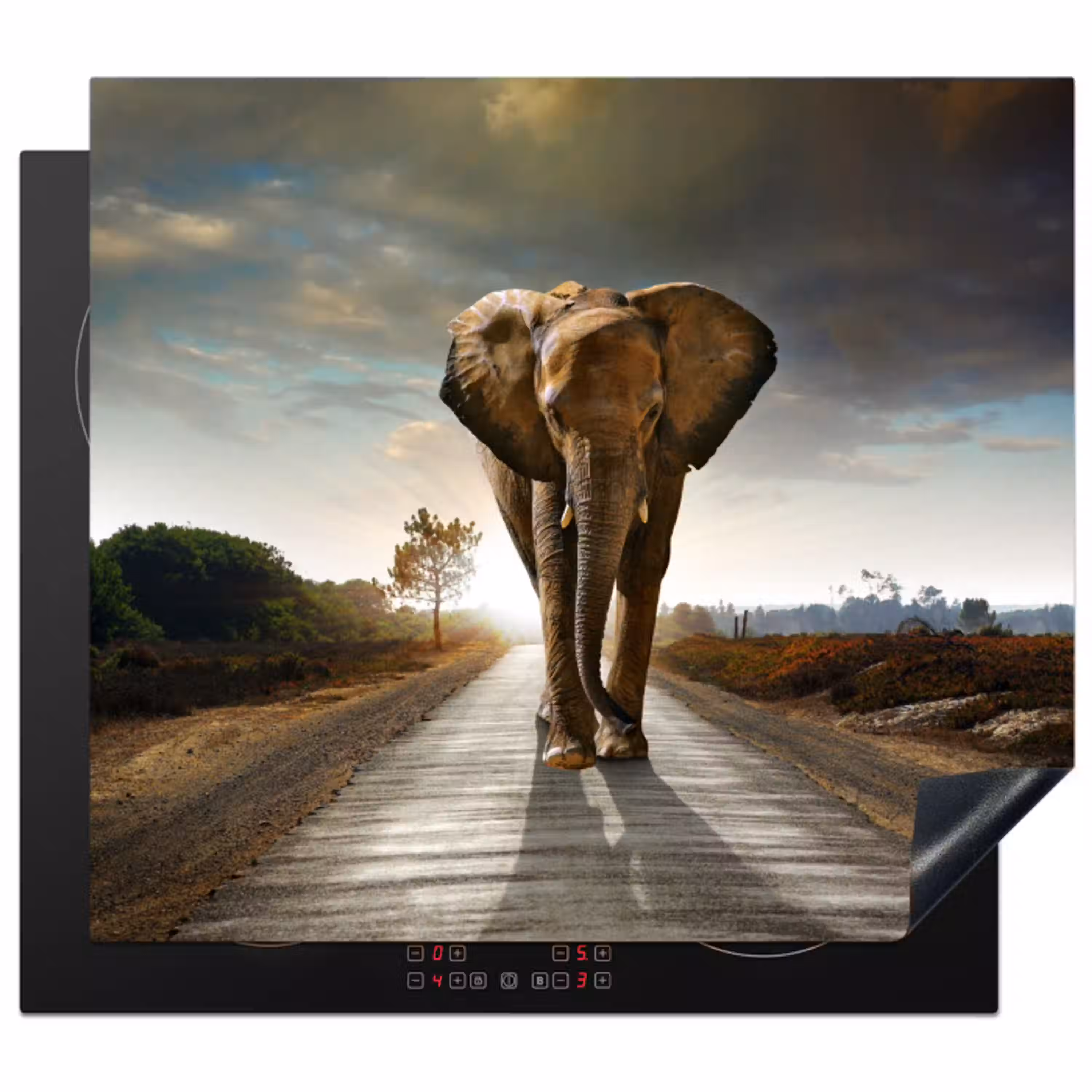 Reiziger bij Zonsopgang Inductie beschermer vinyl 3mm middel -3d