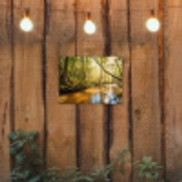 Bos - Beek - Zonlicht - Natuur - Groen tuinposter los doek klein -sfeer1