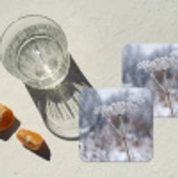 Schermbloem - Rijp - Kristallen - Winter - Delicaat onderzetter kurk middel -sfeer4