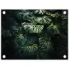Plant - Monstera - Lichtinval tuinposter los doek klein -3d