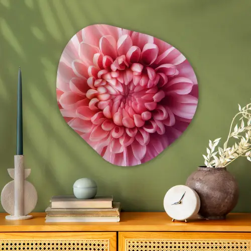 Dahlia - Bloem - Close up - Roze Wandcirkel Organisch Aluminium middel -sfeer2