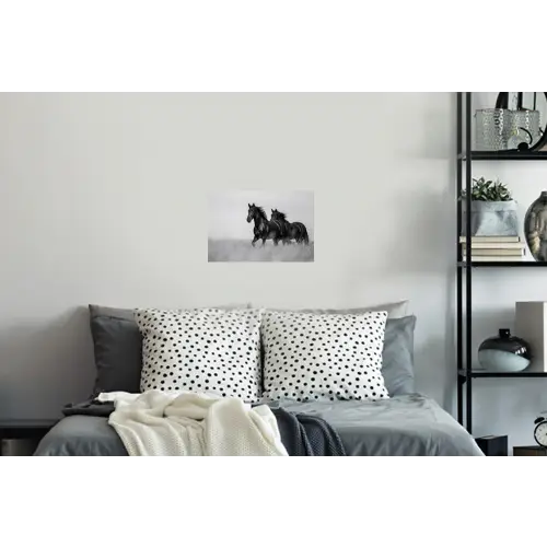 Paarden - Gras - Zwart - Wit Muursticker klein -slaapkamer