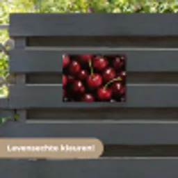 Rood - Fruit - Kersen tuinposter los doek klein -sfeer3