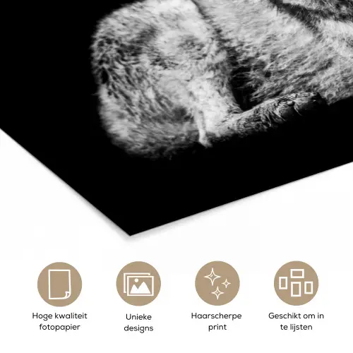 Wilde dieren - Wolf - Zwart - Wit poster papier klein -closeup_NL