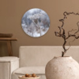 Schermbloem - Rijp - Kristallen - Winter - Delicaat Wandcirkel kunststof plaat 5mm dik klein -sfeer1