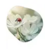 Lieveheersbeestje - Bloemen - Wit Wandcirkel Organisch Plexiglas middel -3d