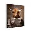 Schotse hooglander - Krant - Toilet aluminium wit klein -3d
