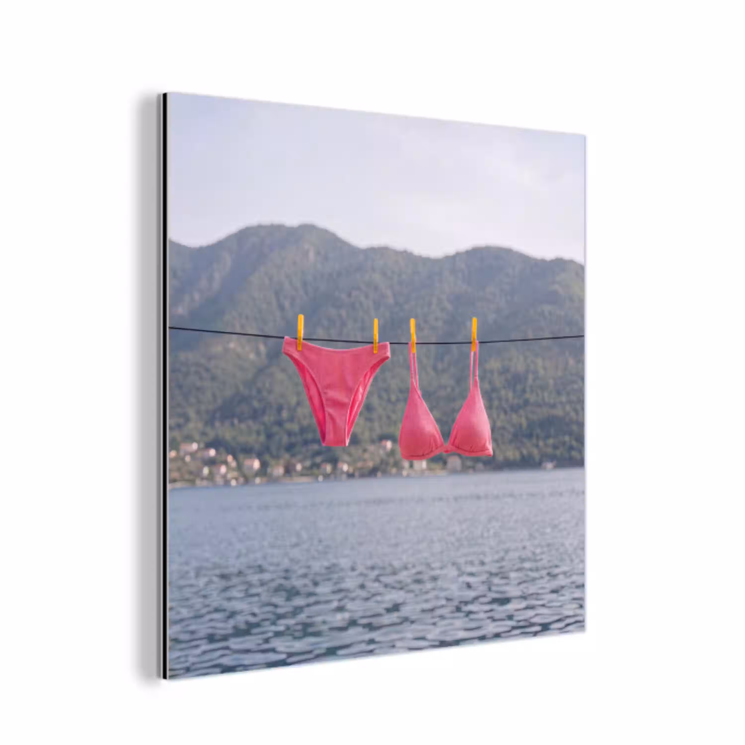 Kleding - Badkleding - Waslijn - Zomer - Roze aluminium wit klein -3d