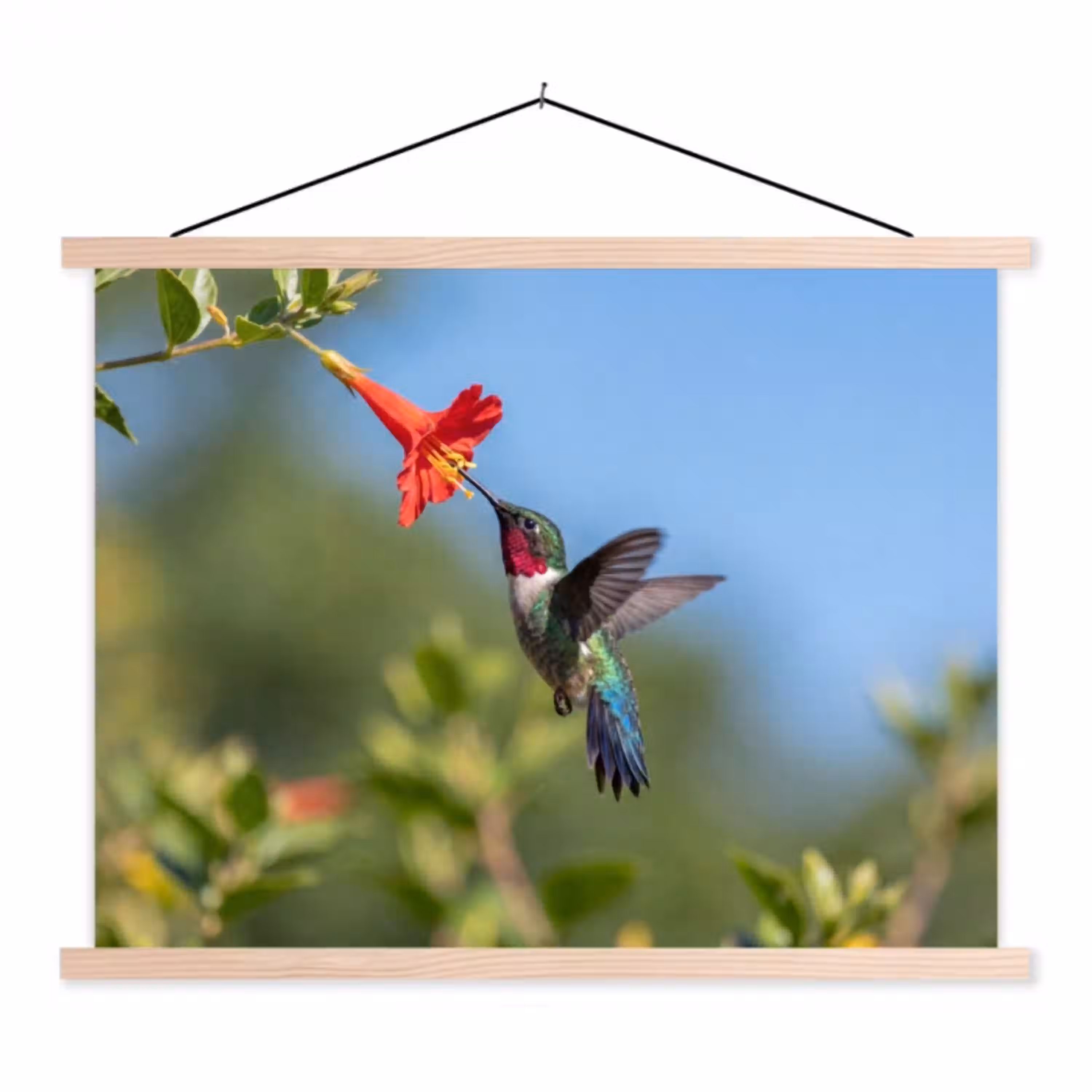 Kolibrie - Bloem - Natuur - Groen textielposter latten blank klein -3d