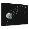Paardenbloem - Zwart - Natuur Textielframe zwart klein -3d