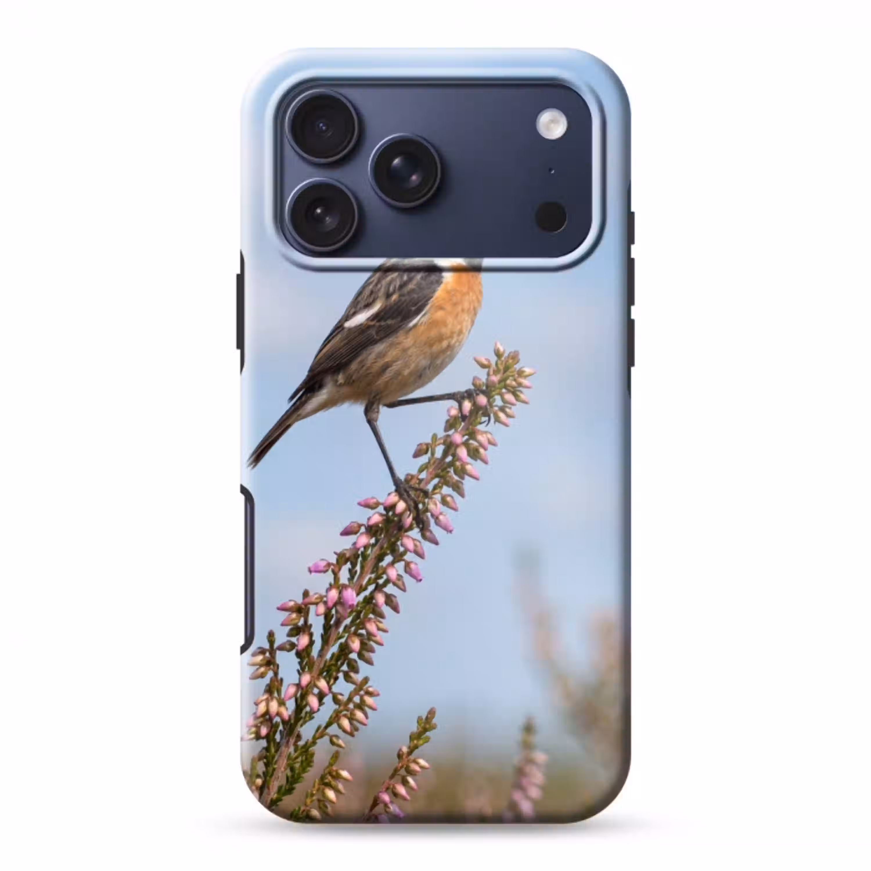 Roodborsttapuit - Heide - Paars - Natuur - Sfeervol Toughcase MagSafe Apple iPhone 17 Pro Max klein -3d