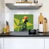 Papegaai - Groen - Snavel - Abstract Inductie beschemer met haakjes middel -sfeer2