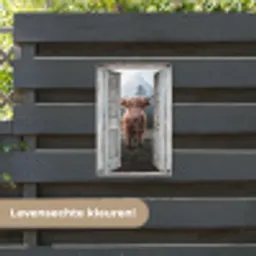 Oude deuren naar Schotse Hooglander tuinposter los doek klein -sfeer3