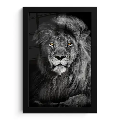 Leeuw - Ogen - Oranje - Zwart wit - Dieren - Portret fotolijst zwart zonder passe partout klein -3d