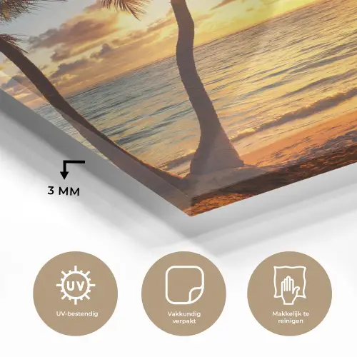 Strand - Horizon - Zonsondergang - Palmboom - Zee plexiglas 5mm klein -sfeer2