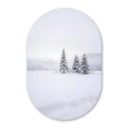 Fijnsparren - Sneeuw - Winter - Landschap - Stilte Wandcirkel Ovaal Aluminium middel -3d