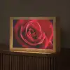 Rood - Roos - Romantisch Light Box met kabel (Tafellamp) klein -z3d_website