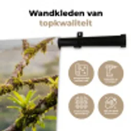 Toekan - Jungle - Natuur - Kleurrijk Wandkleed katoen middel -sfeer2