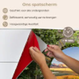 Platteland - Doorkijk - Zon keuken achterwand spatscherm klein -spatscherm_NL