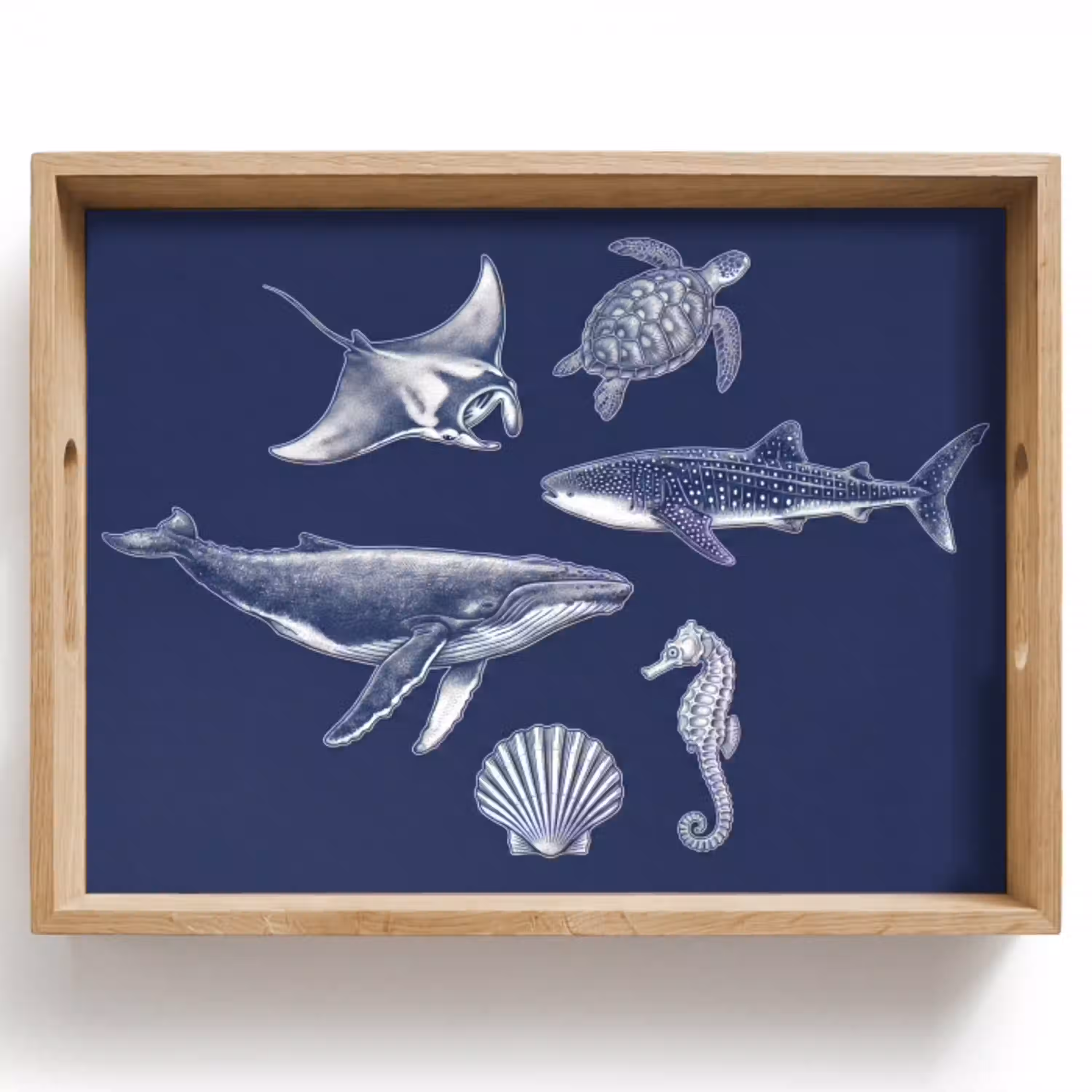Dieren - Zeeleven - Oceaan - Graveren - Blauw Dienblad Rechthoek middel -z3d_shopping
