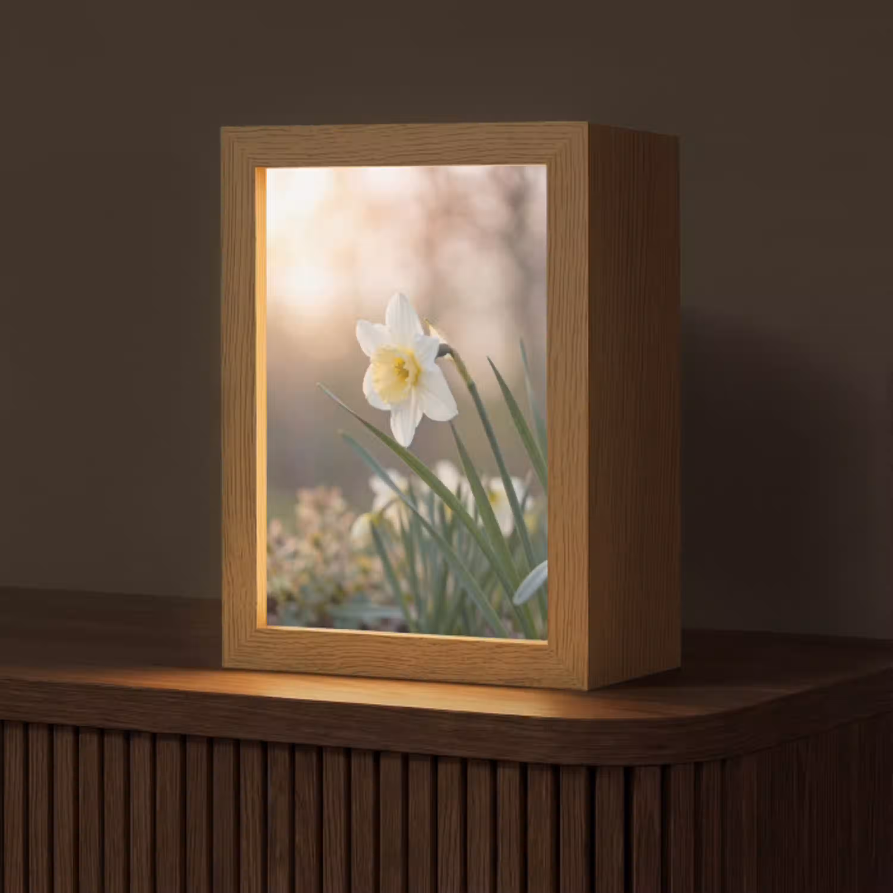 Narcis - Bloem - Minimalistisch Light Box met kabel (Tafellamp) klein -z3d_website