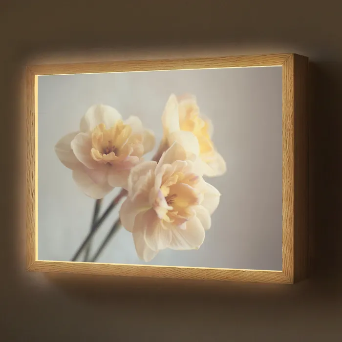 Narcissen - Geel - Bloemblaadjes Light Box met batterij (Wandlamp) middel -z3d_website