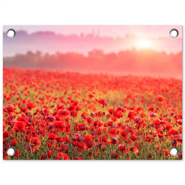 Rode klaprozen in de ochtendzon tuinposter los doek klein -3d