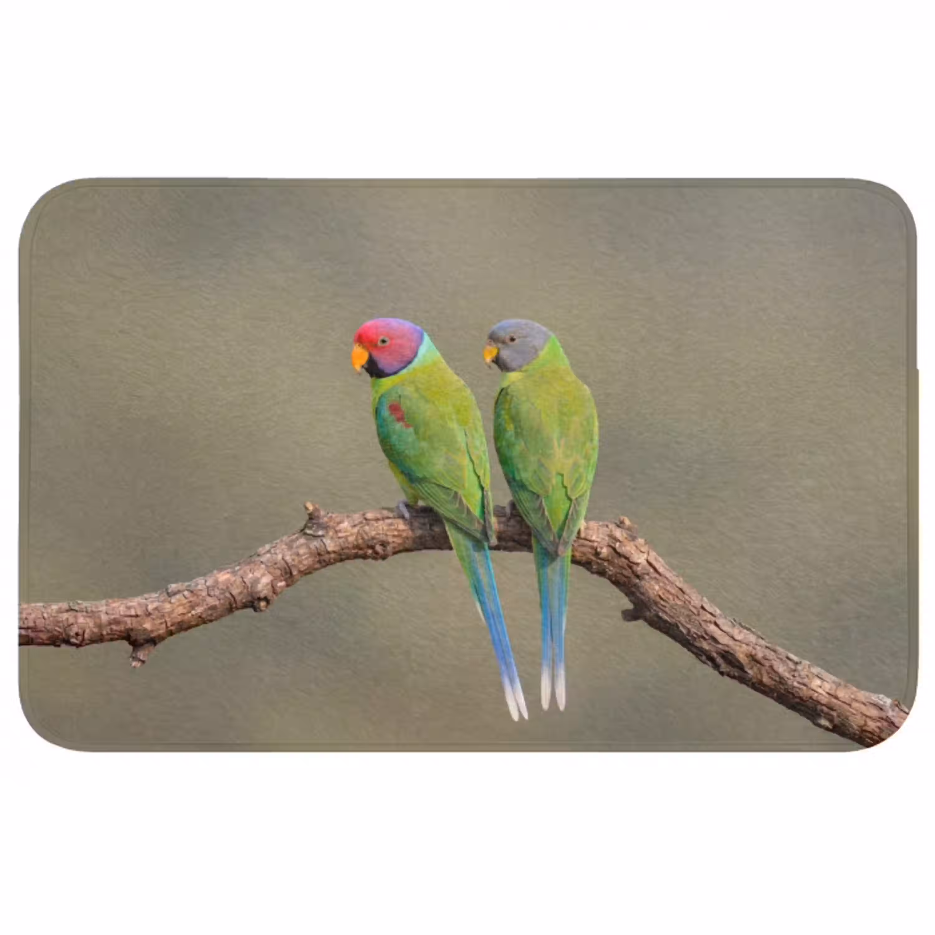 Papagaai - Tak - Natuur - Kleurrijk Badmat middel -3d